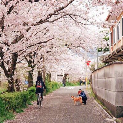 体育旅游消费市场快速增长