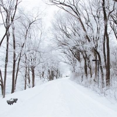 为啥绿皮车能“冒雪前行”？