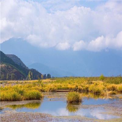 两部门:以硬措施保护耕地 守住耕地红线和粮食安全