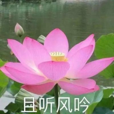 凝聚力量 共谋良策——全国政协委员抵京侧记