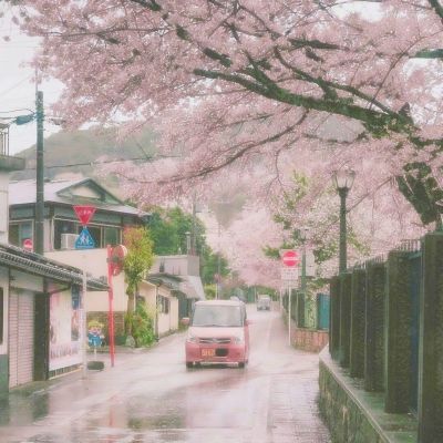 春节（春运）期间地方防疫十大舆情风险